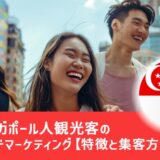 訪日シンガポール人観光客のインバウンドマーケティング【特徴と集客方法を解説】- (1)